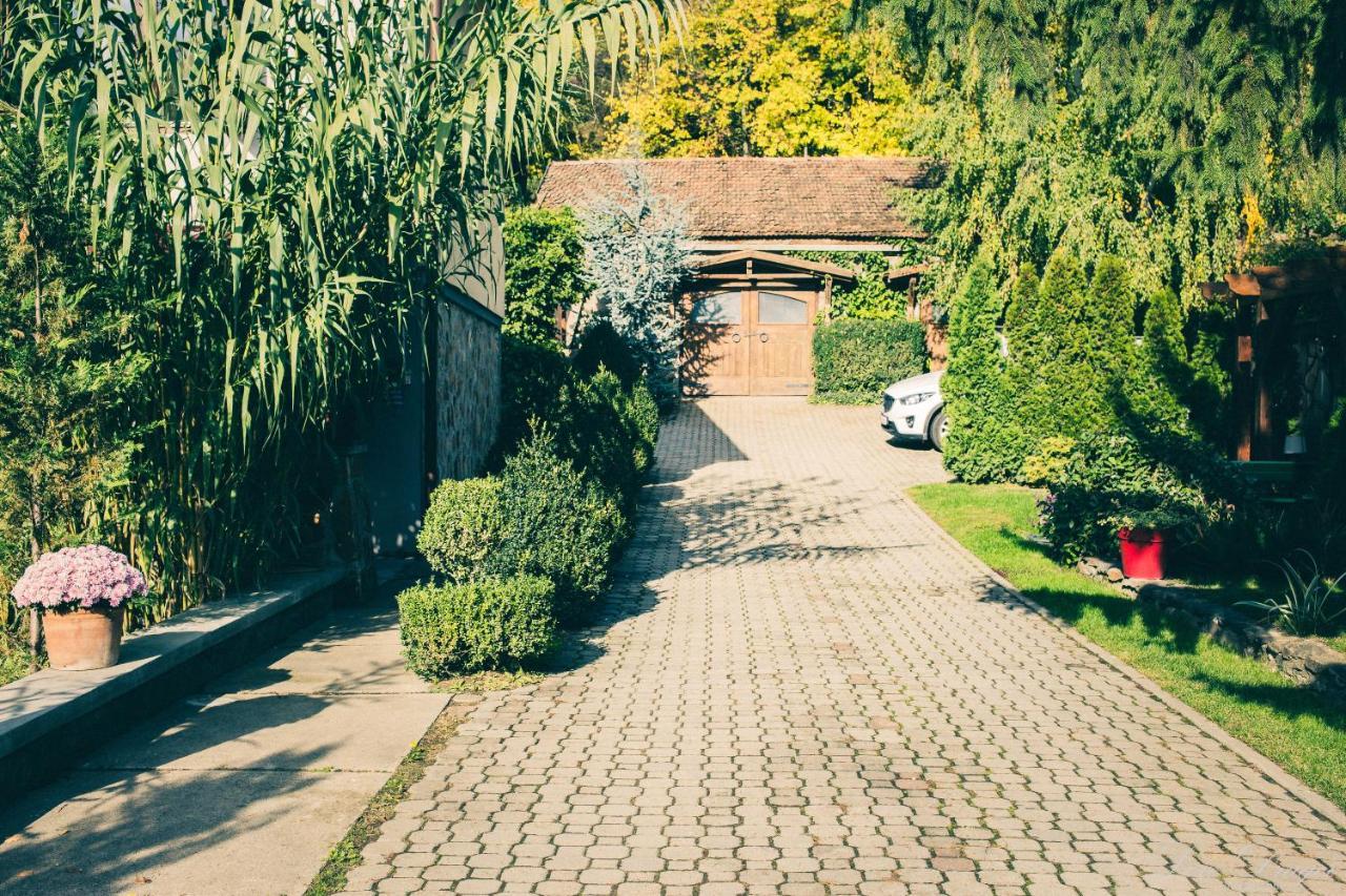 Pensiunea Dulce Ambient Paulis Ngoại thất bức ảnh